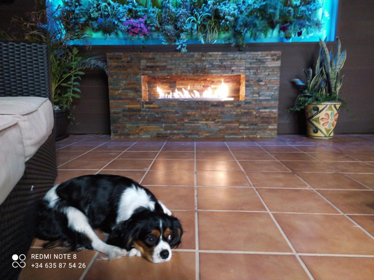 3 Bdr House Near La Zenia Private Lounge Terraces, Fire Places, Bbq, Kitchen, Parking 오리후엘라 외부 사진